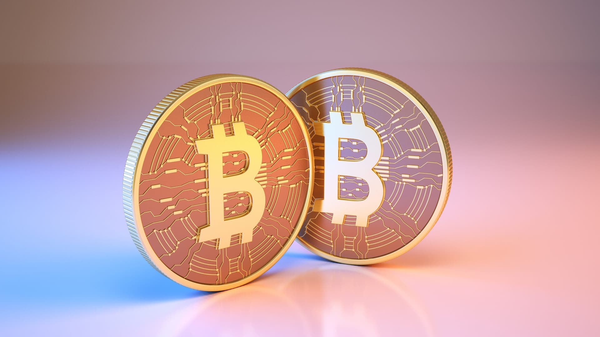 Der ultimative Leitfaden zum bitcoin preis usd: Aktuelle Trends und Analysen