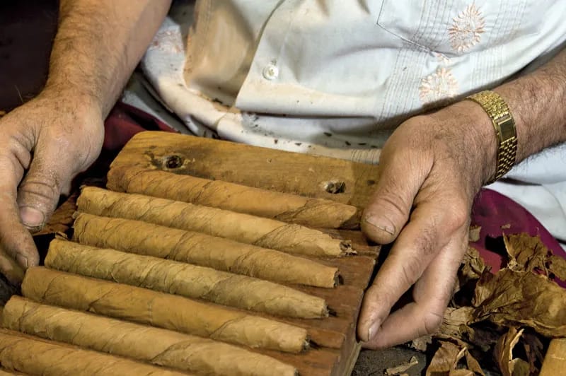 Qualität und Auswahl: C-Cigars macht Zigarrenträume wahr