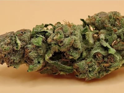 Was macht Sinsemilla und Weed von Cannapot so besonders?