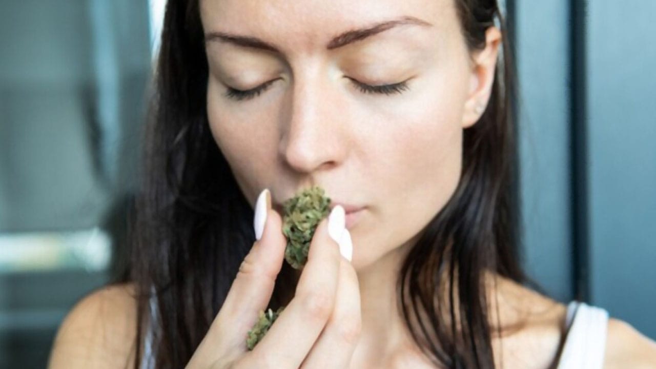 Was macht Sinsemilla und Weed von Cannapot so besonders?