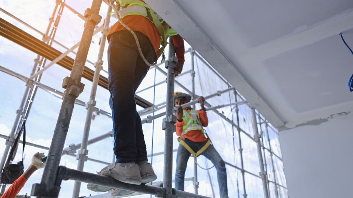 Meister-Job: Fensterputzer in der Nähe für saubere Fenster ohne Stress