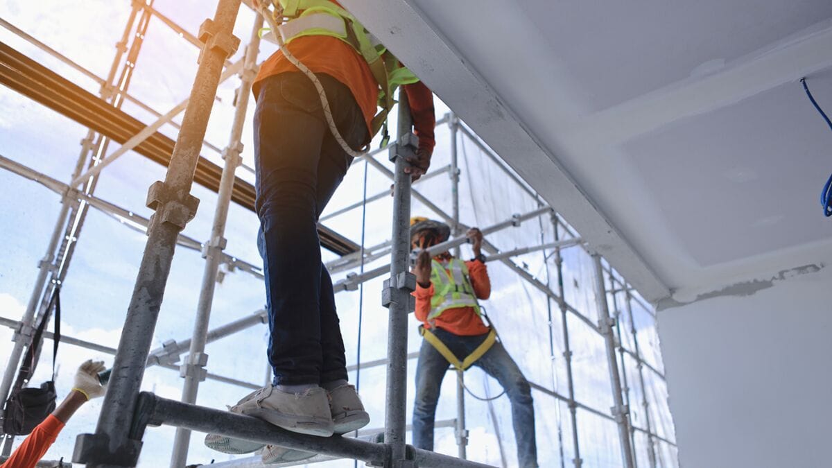 Meister-Job: Fensterputzer in der Nähe für saubere Fenster ohne Stress
