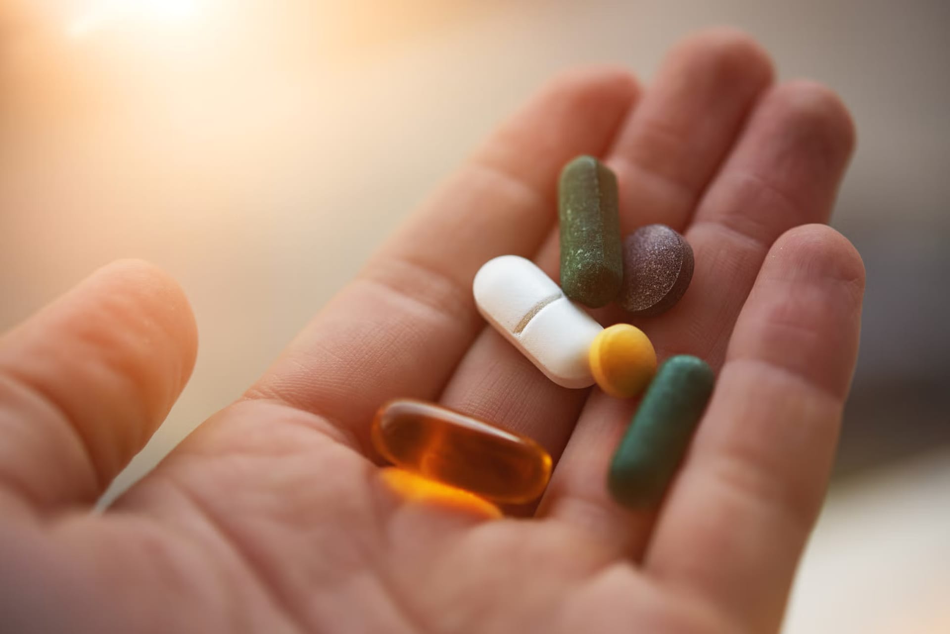 Fitnesshaus24 bietet die besten Pre workout Produkte für intensives Training