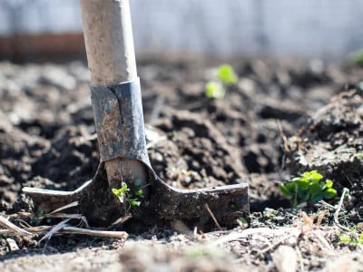 Bodengutachten für Neubau, Umbau und Sanierung – fundiert und zuverlässig