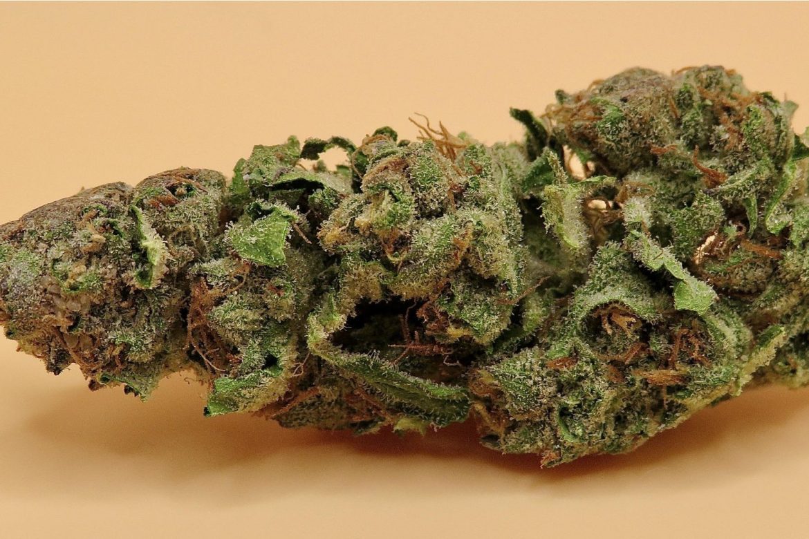 Was macht Sinsemilla und Weed von Cannapot so besonders?